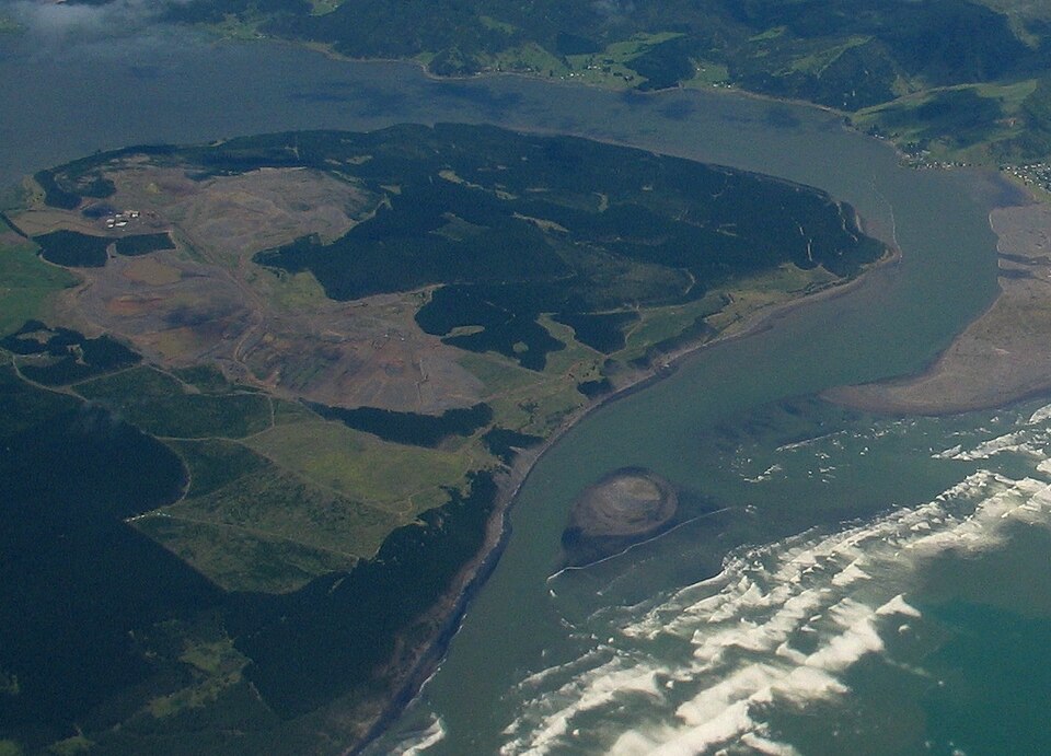 Waiuku Forest