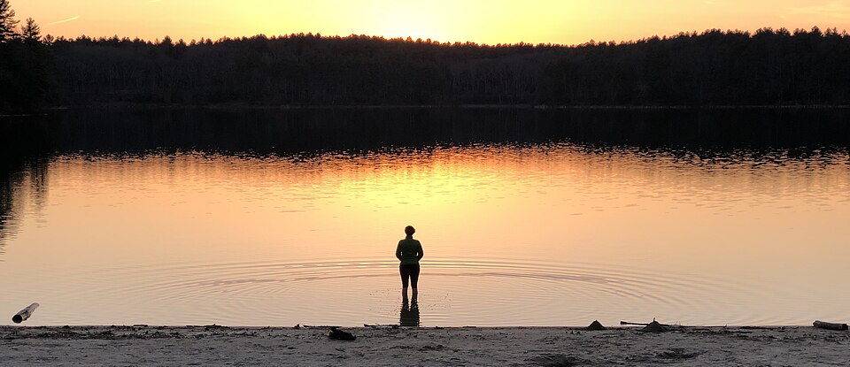 Walden Pond State Reservation
