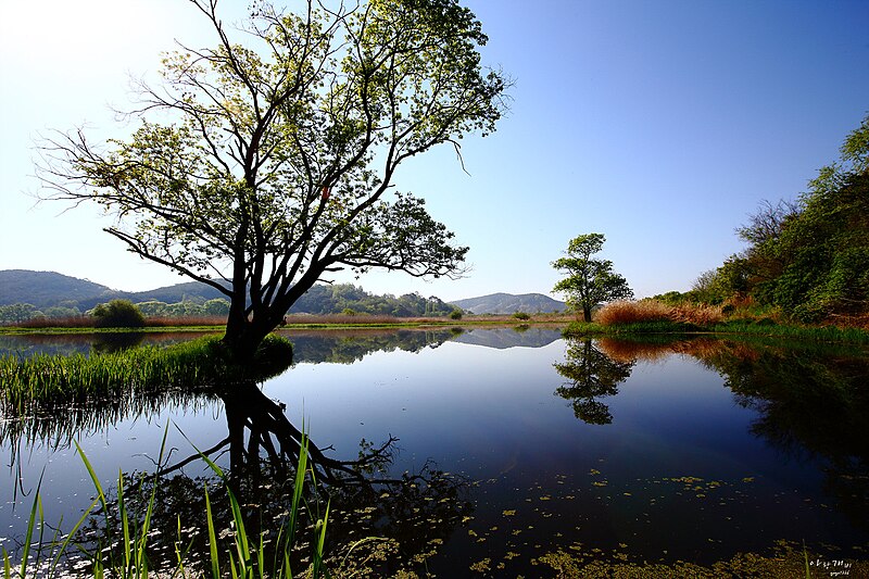 Upo wetland