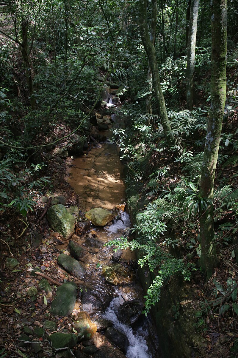 Carioca River