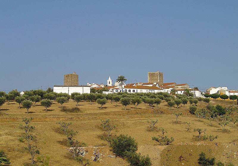 Castle of Avis