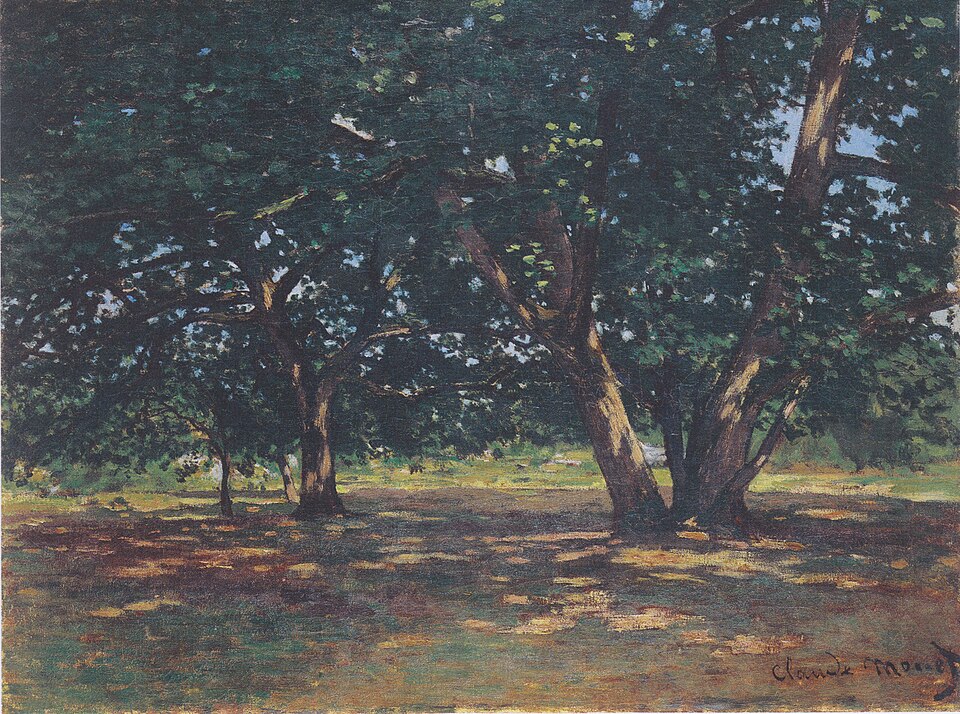 Fontainebleau Forest