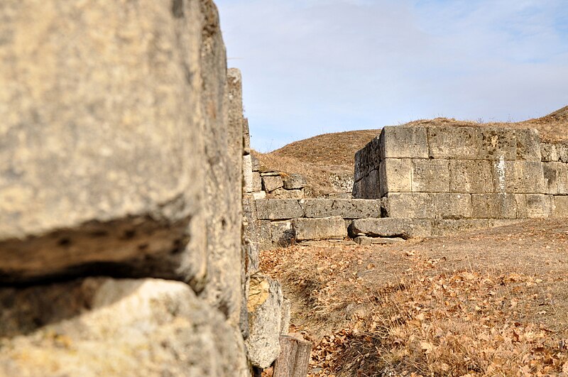 Costești-Blidaru Dacian fortress