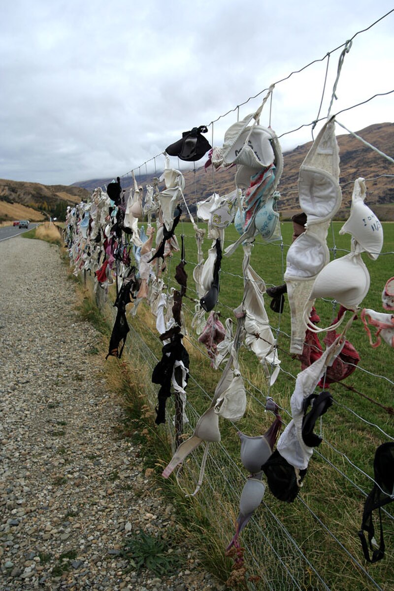 Cardrona Bra Fence