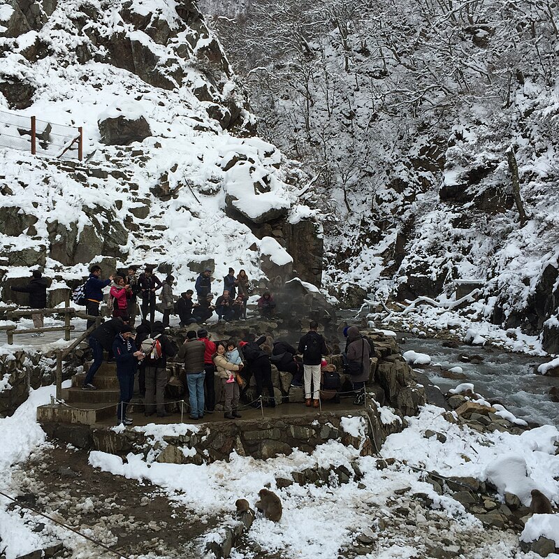 Jigokudani Monkey Park
