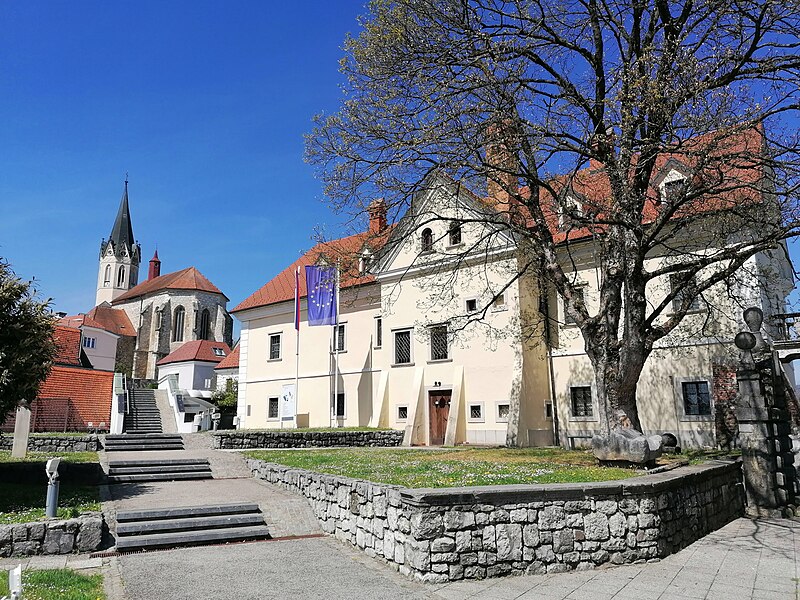 Novo Mesto Cathedral