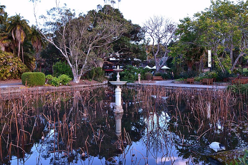 Royal Botanic Gardens, Sydney