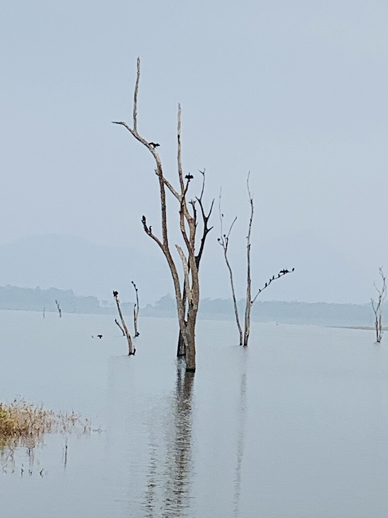 Gal Oya National Park