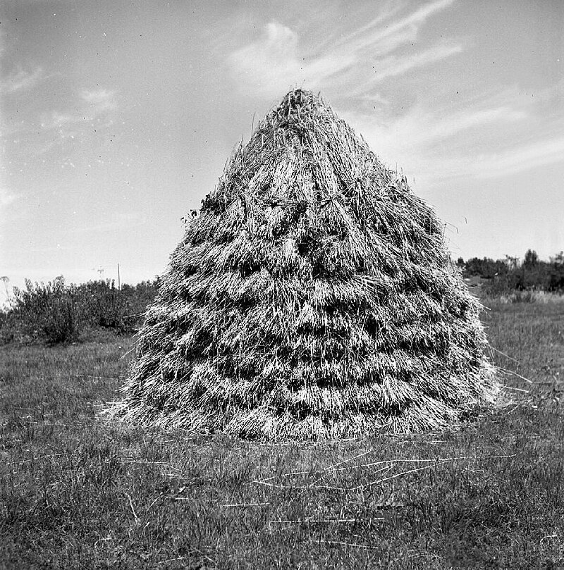 Materija