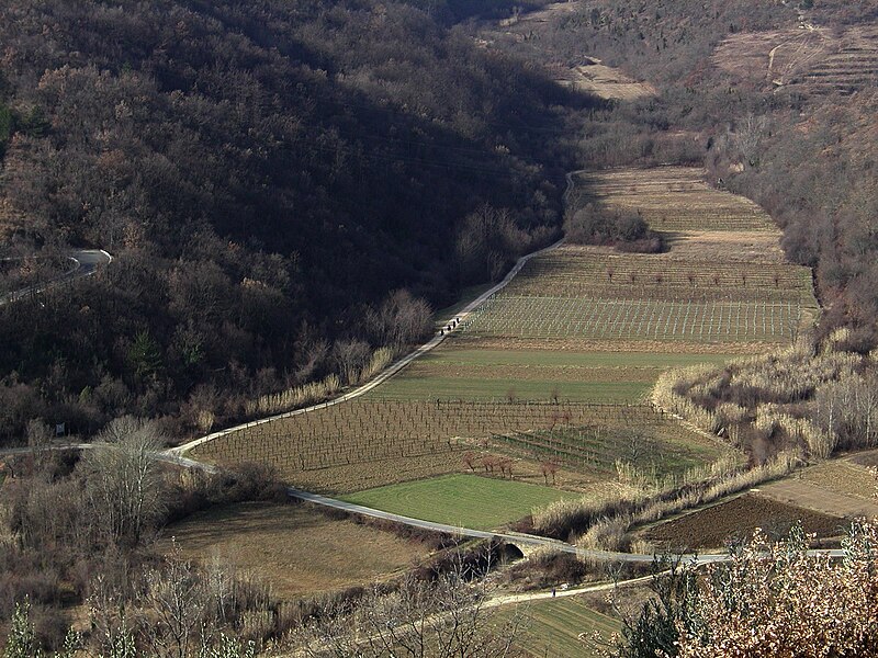 Padna