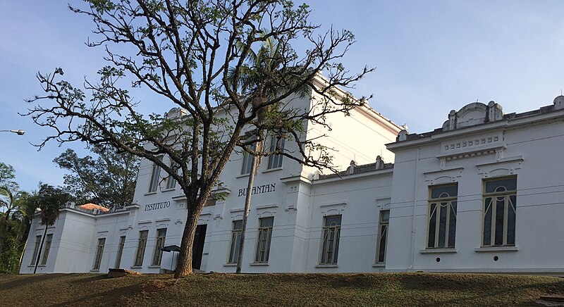 Instituto Butantan