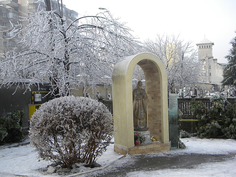 Bellu Cemetery