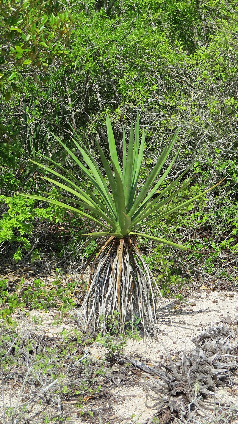 Huatulco National Park