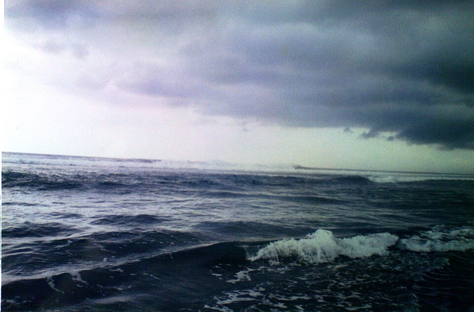 Veracruzano Coral Reef System National Park