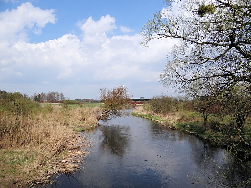 Biebrza National Park