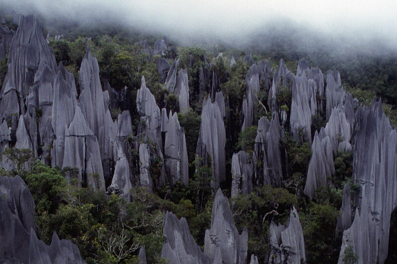 Gunung Mulu National Park