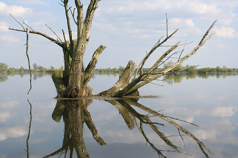 Ujście Warty National Park