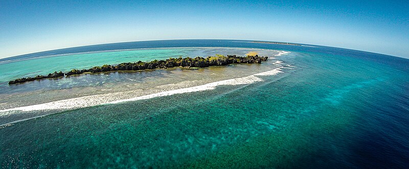 Apo Reef Natural Park