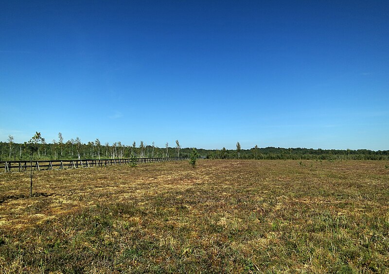 Polesie National Park