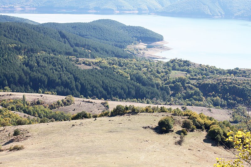 Kardzhali Reservoir