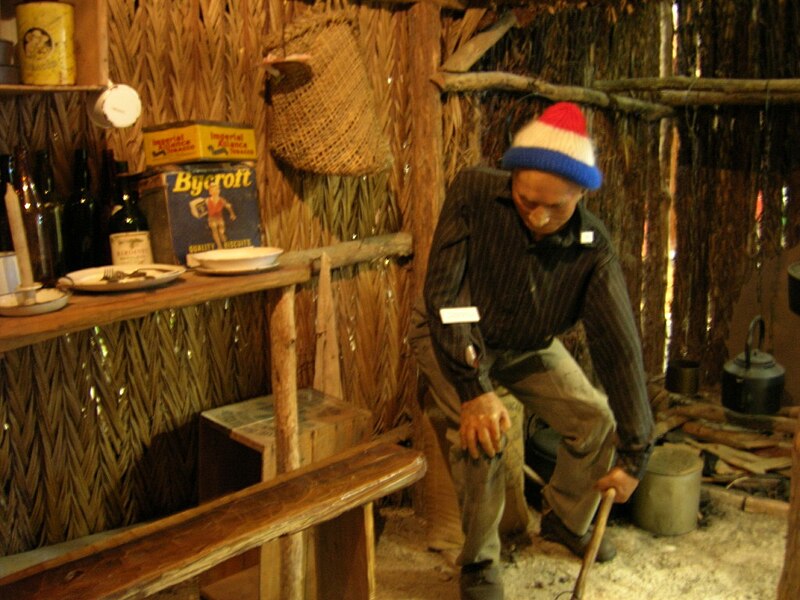 Kauri Museum