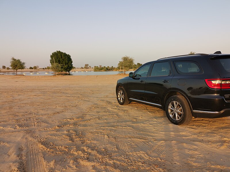 Al-Wathba Wetland Reserve