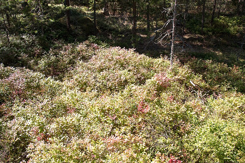 Djurö National Park