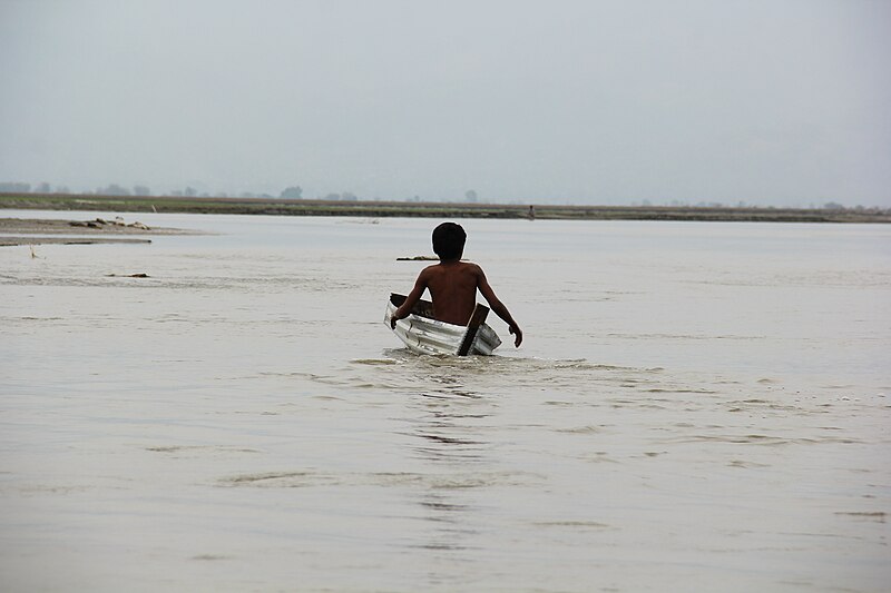 Koshi Tappu Wildlife Reserve