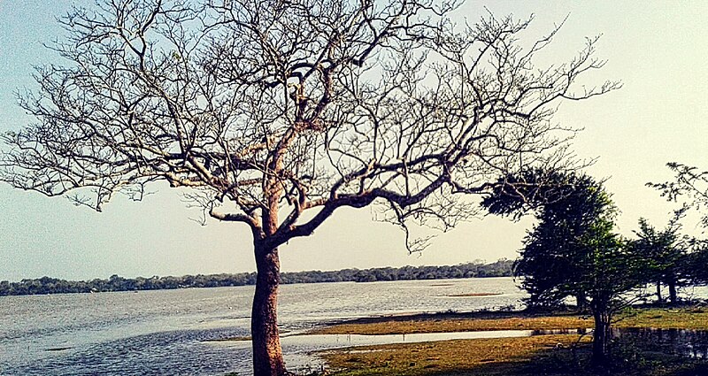 Kumana National Park