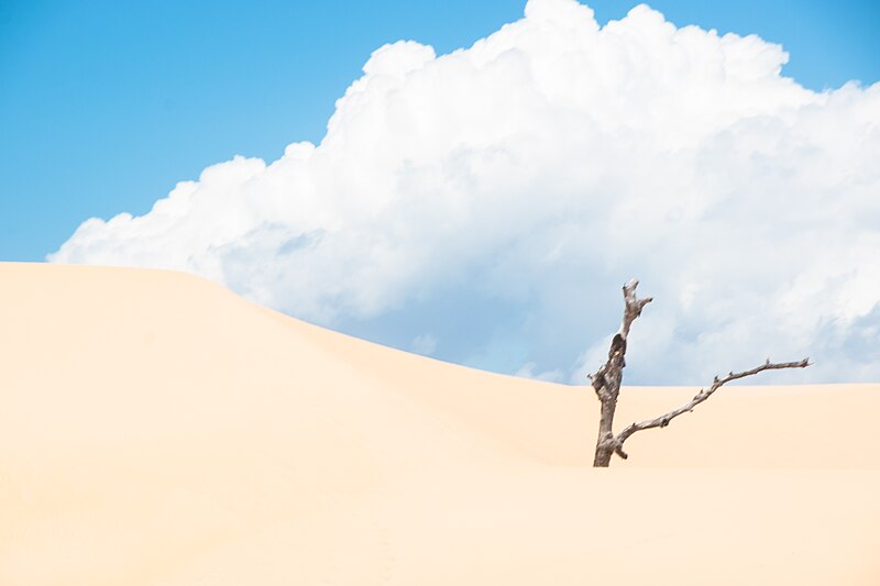 Lençóis Maranhenses National Park