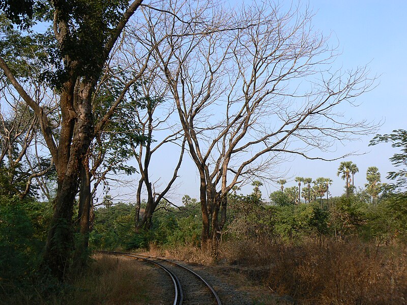 Sanjay Gandhi National Park