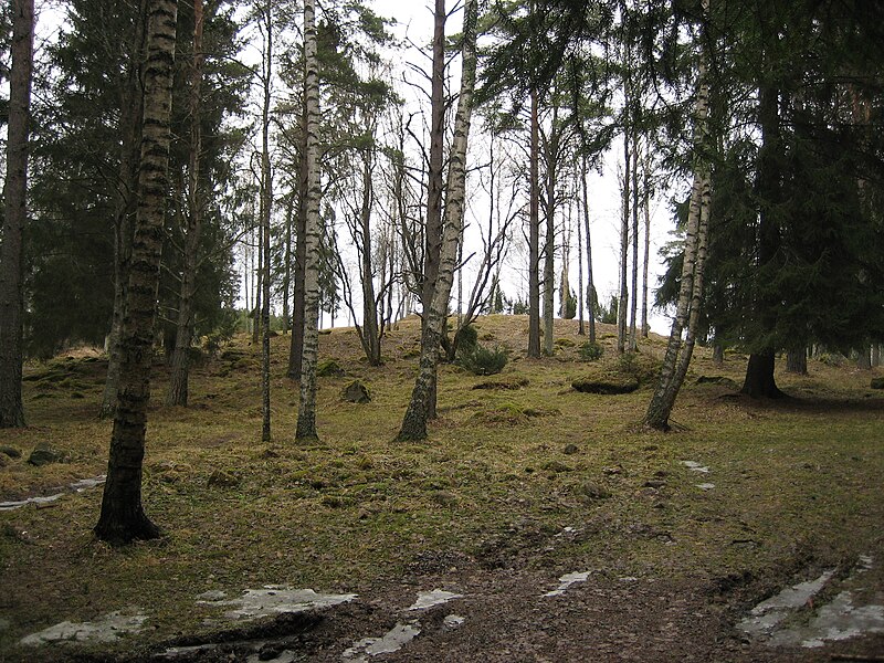 Liinmaa Castle
