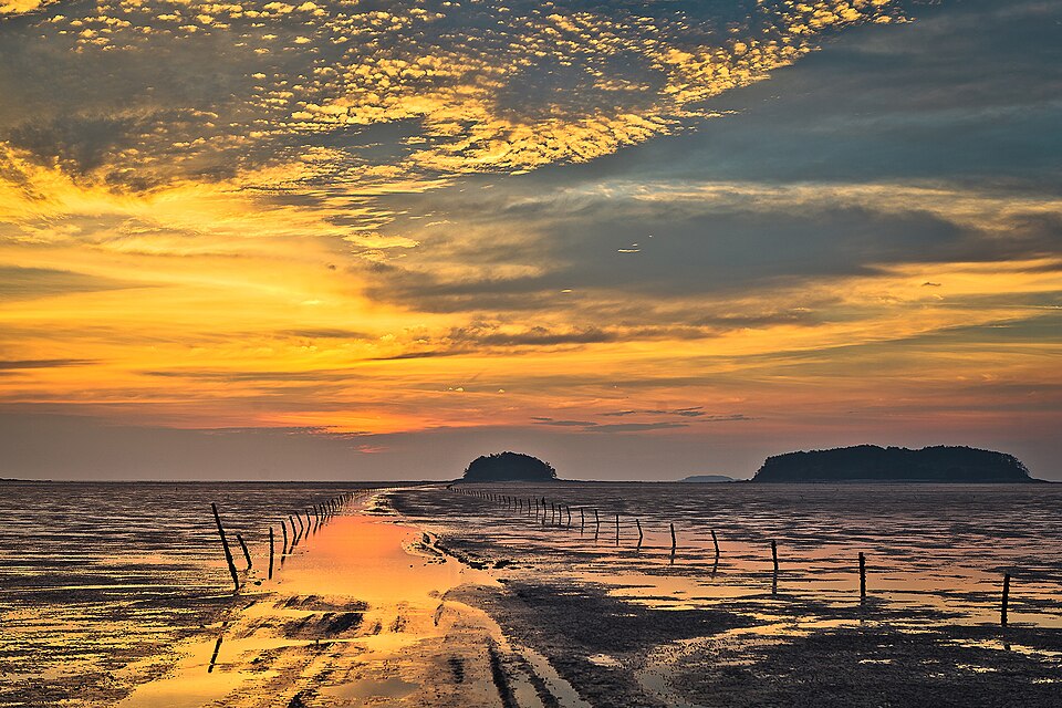 Gochang tidal flats