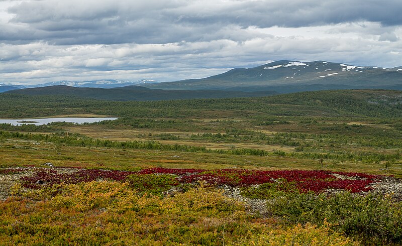 Pieljekaise National Park