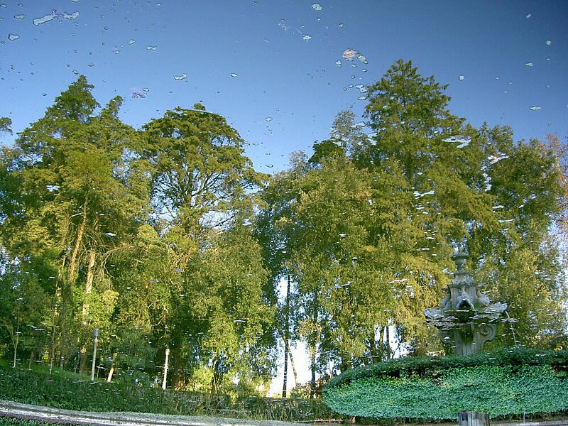 Botanical Garden of the University of Coimbra