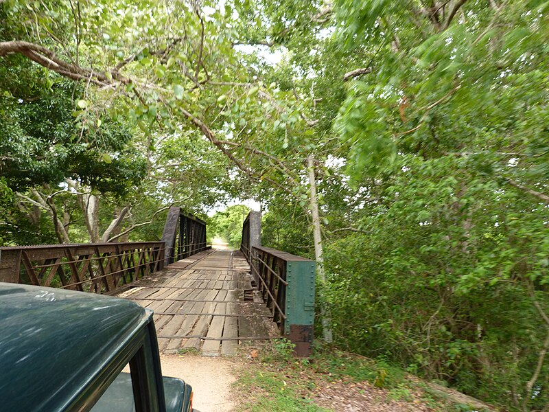 Lunugamvehera National Park