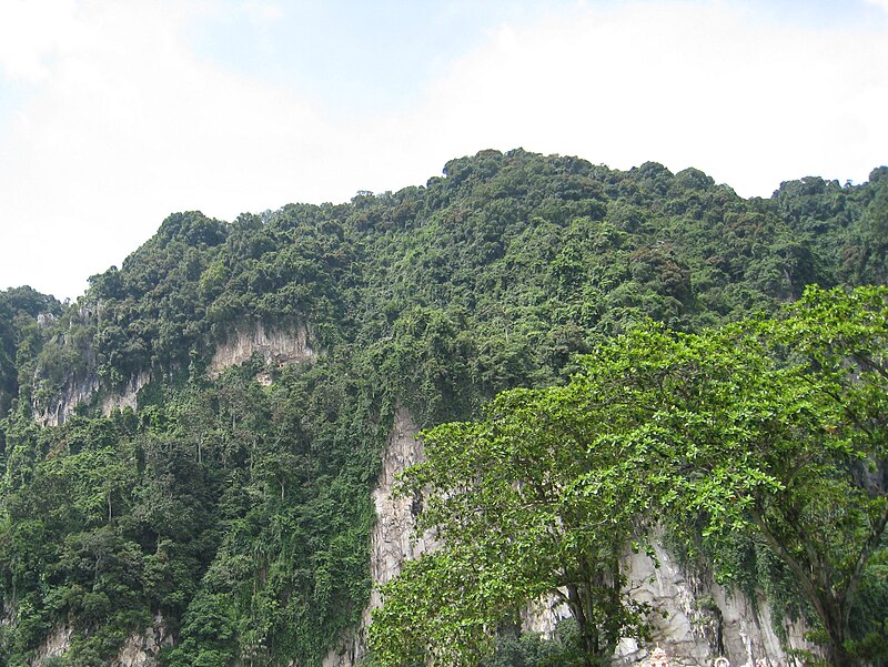 Batu Caves