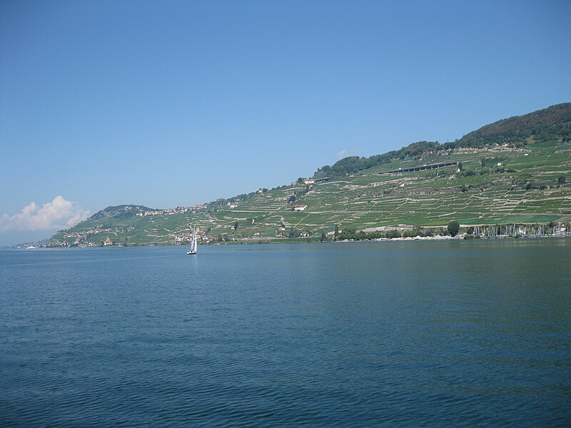 Lavaux
