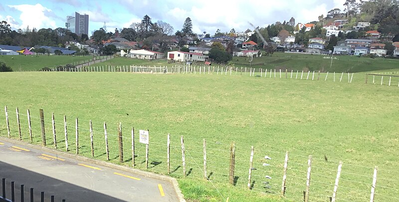 Mount Albert Grammar School