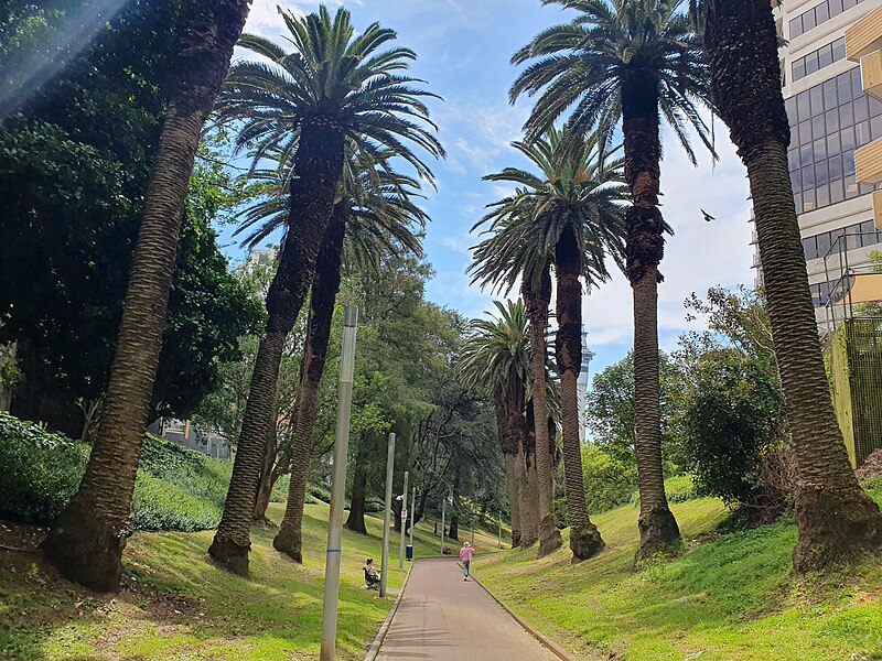 Myers Park