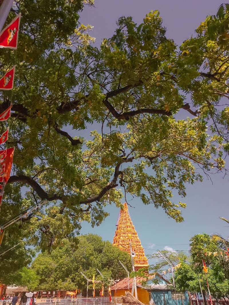 Nainativu Nagapooshani Amman Temple