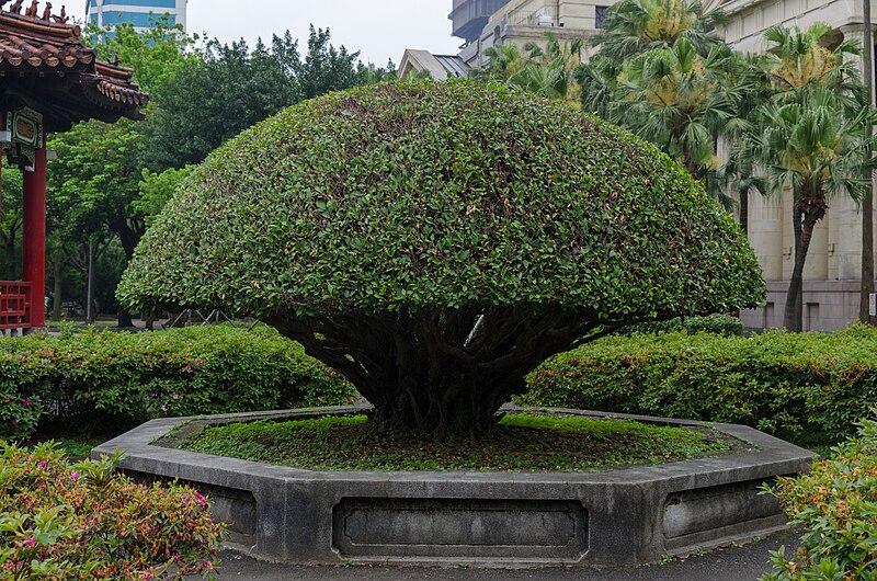 228 Peace Memorial Park