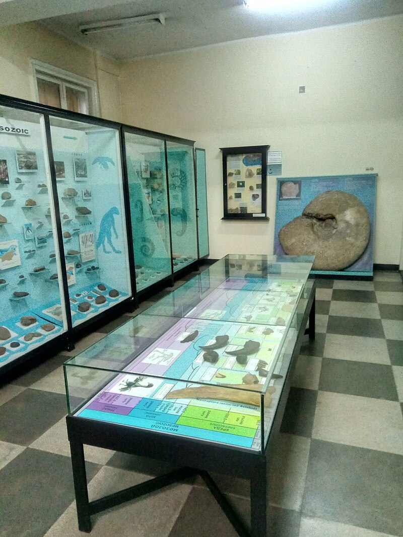 National Museum of Natural History