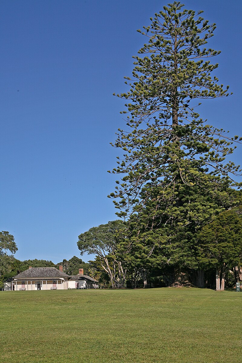 Treaty House