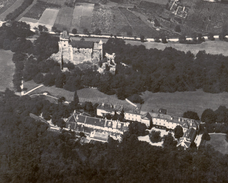 Liechtenstein Castle