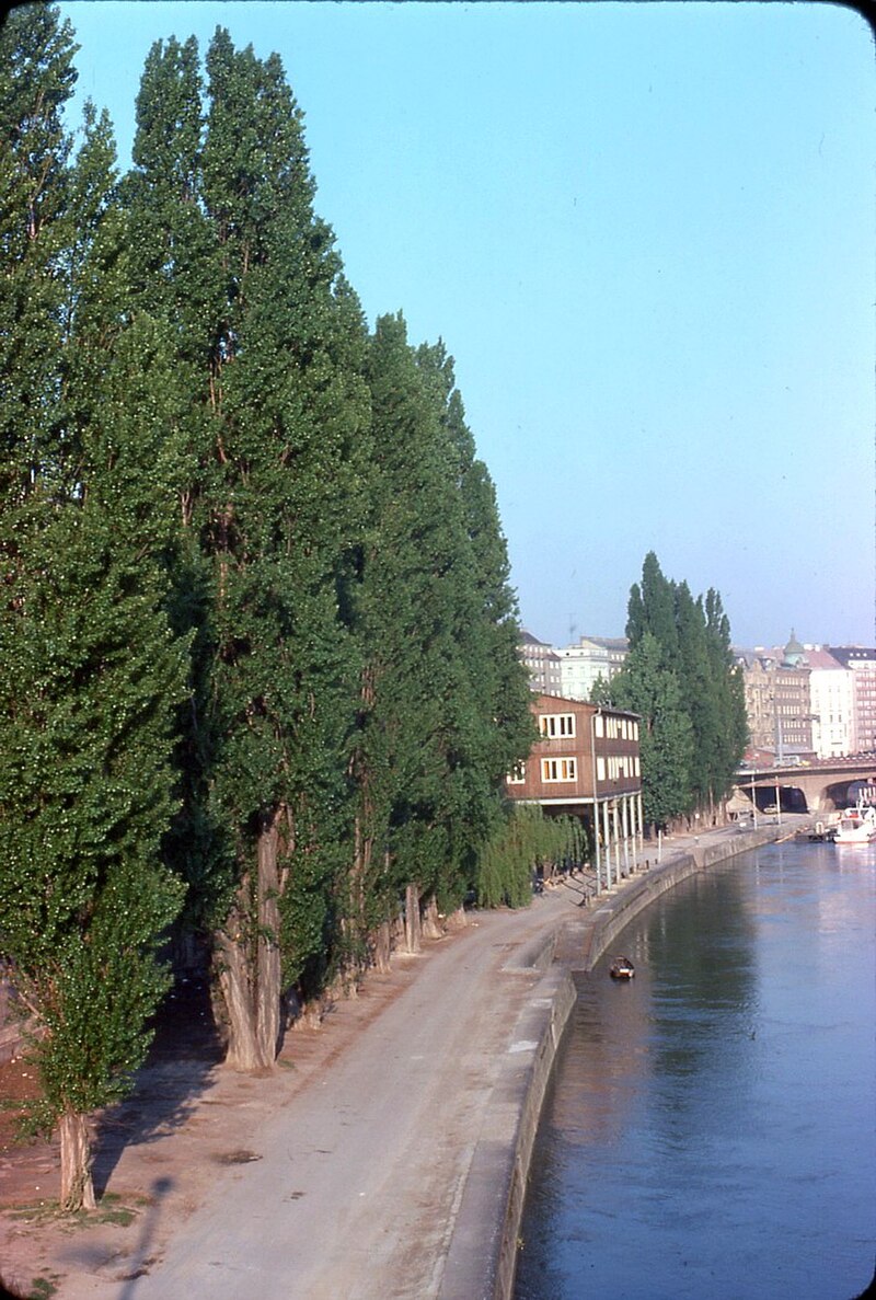 Donaukanal