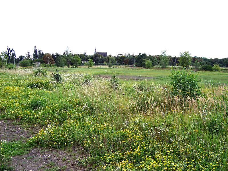 Vinohrady Cemetery