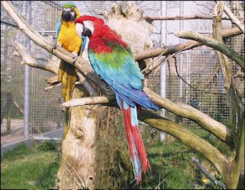 Odense Zoo