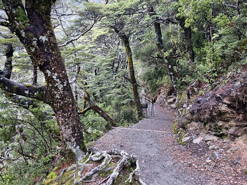 Arthur's Pass National Park