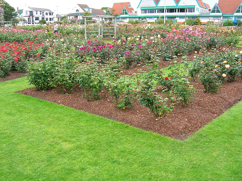 Parnell Rose Gardens